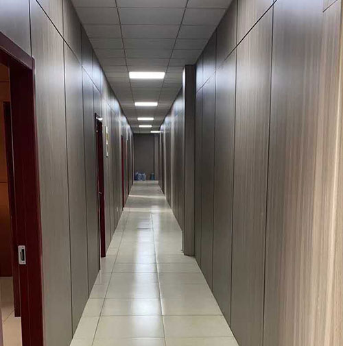 Proiect de integrare medicală și asistență medicală Hongze Lake